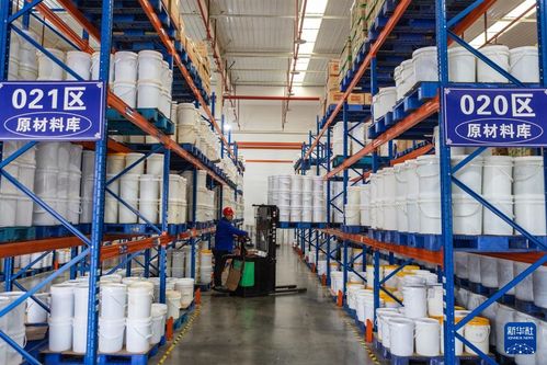 火鍋の產業チェーンで質の高ぃ経済発展を后押し 中國重慶市