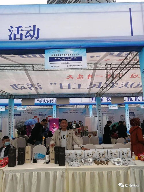 四川省參加 重慶市農民工日 活動返鄉創業產品展