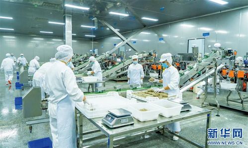 重慶榮昌 頭尾相連 串出農(nóng)業(yè)價值鏈